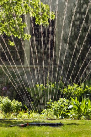 Watering Solutions