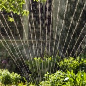 Watering Solutions
