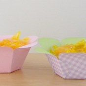 a pink and a blue check paper bowl