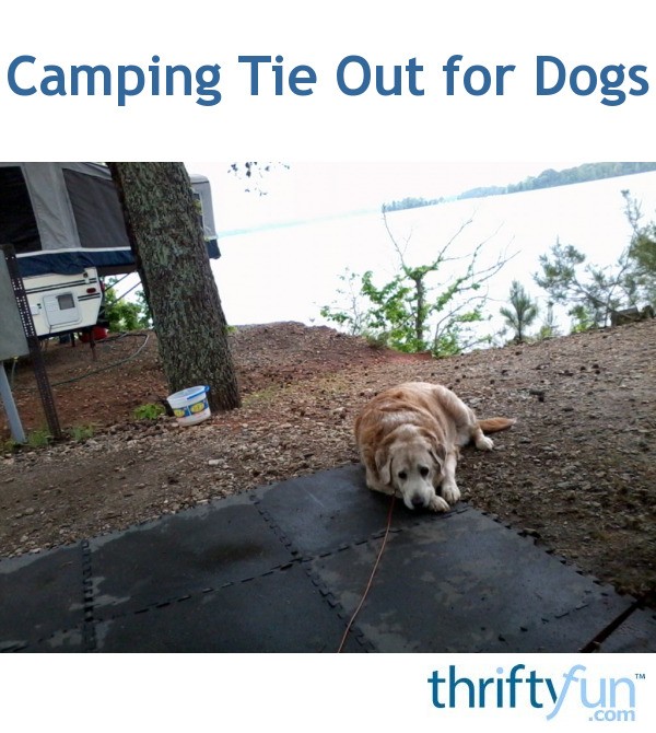 Camping Tie Out for Dogs ThriftyFun