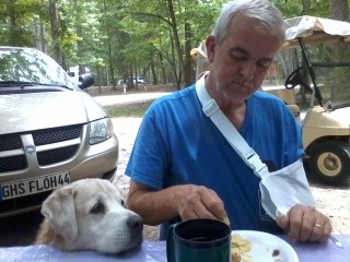 A dog at a picnic table.