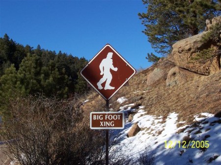 A Bigfoot Crossing road sign in Colorado.
