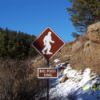 A Bigfoot Crossing road sign in Colorado.