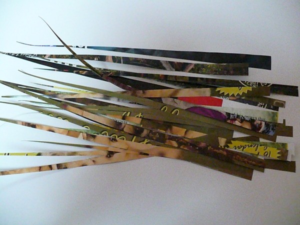 thin strips of magazine cut into long skinny triangles