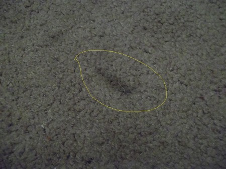 picture of carpet with stain