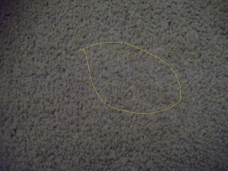 picture of carpet without stain