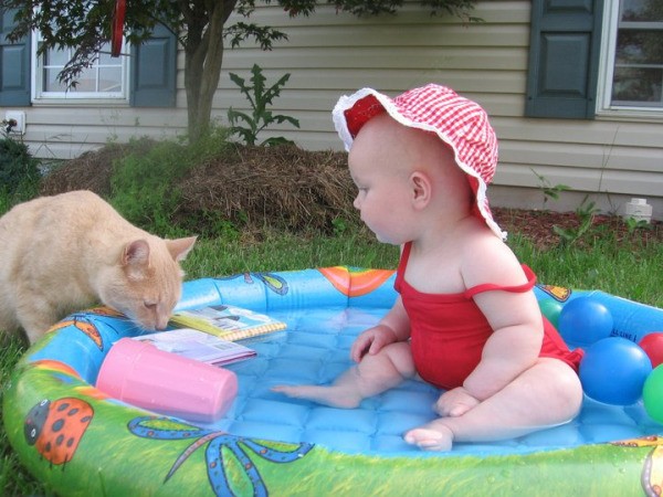 An orange cat checking out a small pool with a baby in it.