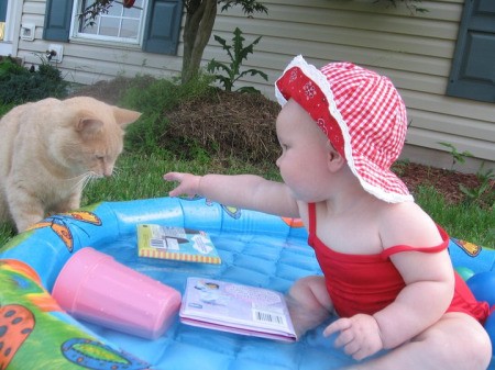 An orange cat checking out a small pool with a baby in it.