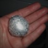 A ball of aluminum foil to prevent static in the dryer.