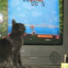 A gray shorthaired kitten watching a video game on a TV.