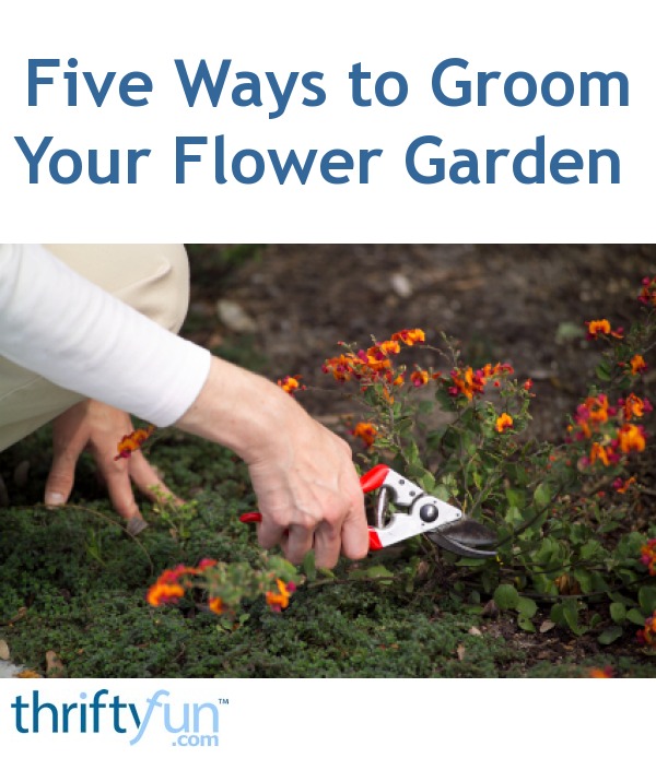 Five Ways to Groom Your Flower Garden | ThriftyFun