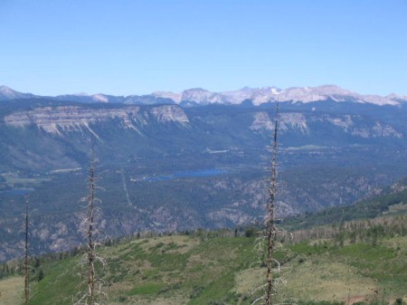 The barren hilltops at Missionary Ridge, CO, after a wildfire.