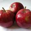Photo of red delicious apples.