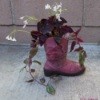 Boot Planter