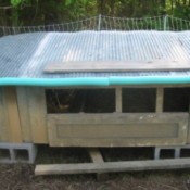 Chicken coop with pool noodles around edge of tin roof.