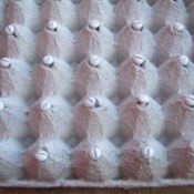 Egg carton holding bolts for painting