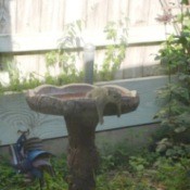 Squirrels on the birdfeeder