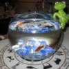Glass fishbowl with blue rocks and one adult goldfish.