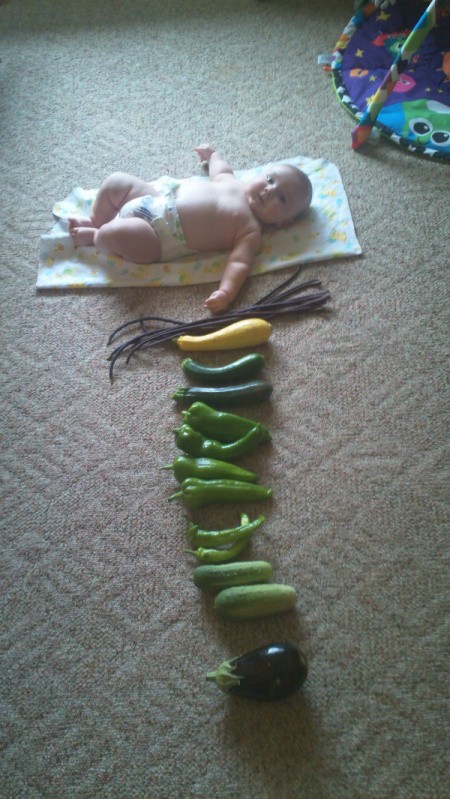 Baby on blanket with veggies placed in front.