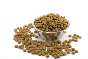 A heaping bowl of dry dog kibble.