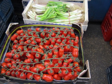 Boxes of tomatoes and green onions.