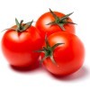 Growing Tomatoes, Red Tomatoes on White Background