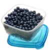 Blueberries in a lidded container