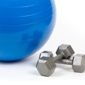 Exercise Ball in Free Weights