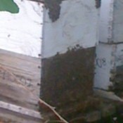 Wooden bee hive