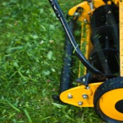 A yellow reel mower cutting grass.