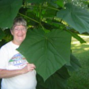 Member standing next to giant plant leaf.