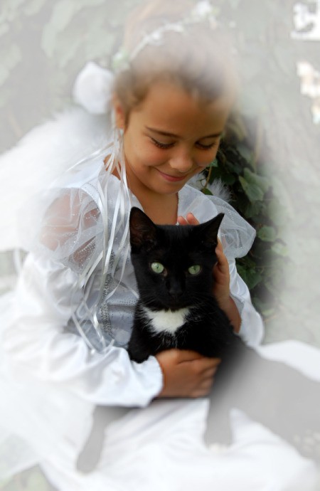 Black and White Cat Being Held by a Little Girl