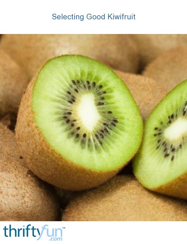 Selecting Good Kiwifruit | ThriftyFun