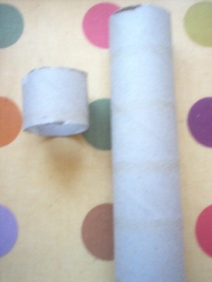 Paper Towel Tube cut into sections