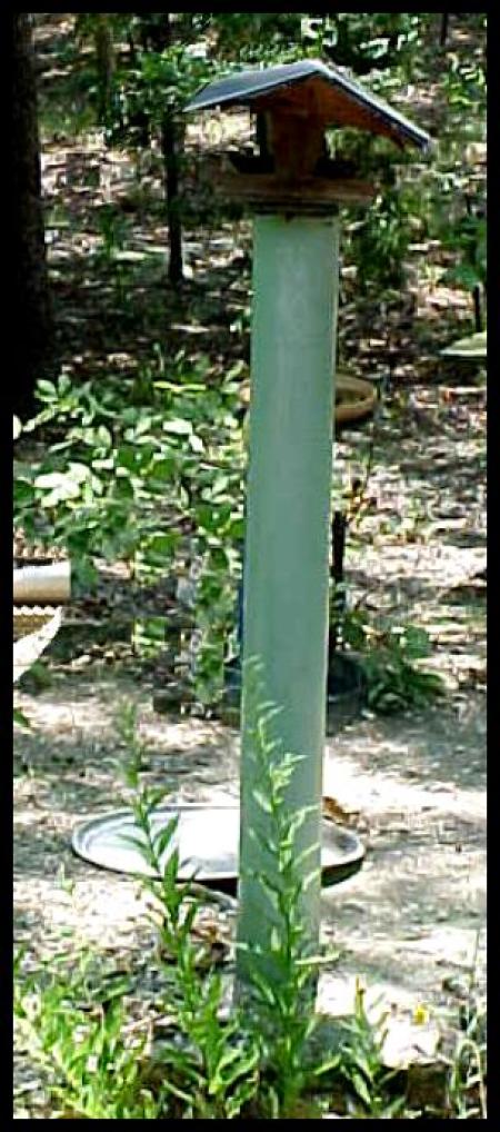 PVC pipe encasing birdfeeder post.