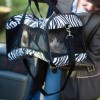 Woman Putting Cat in Cat Carrier in Car
