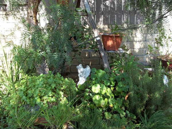 Garden With White Angel Statue and Brick and Wood Wall in Background