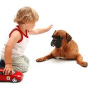 Young child kneeling on floor reaching out to a dog lying nearby.