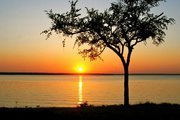 Sunset at Lake Texoma with Tree in Foreground