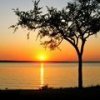 Sunset at Lake Texoma with Tree in Foreground