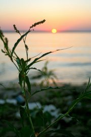 Sunset at Lake Texoma with Grass in Foreground