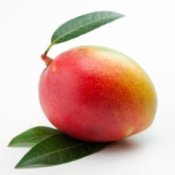 Mango on white background with leaves.
