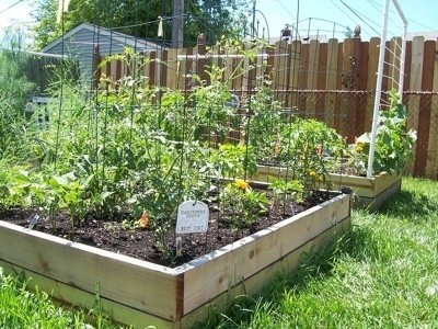 Photo of raised bed made with wood.
