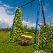 Garden swing with wire woven between side bars and vine growing up the side