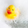 Rubber ducky floating in a bubble bath.