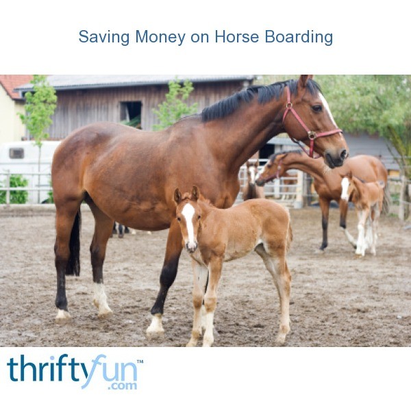 Saving Money on Horse Boarding ThriftyFun
