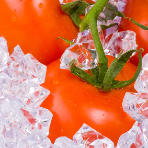 Freezing Tomatoes ThriftyFun