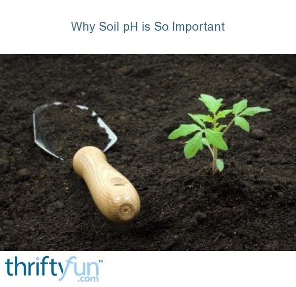 Why Soil PH Is So Important ThriftyFun