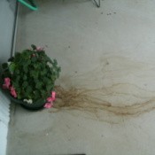 Rust colored stains on concrete porch.