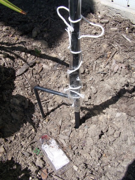 Base of hummingbird feeder with shipping tape to deter ants.